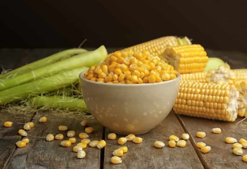 Corn-795x544
